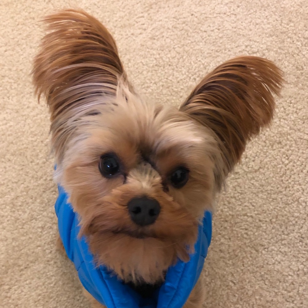 Meet your Posher, Esther